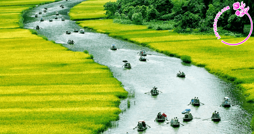 hình ảnh đất nước trong thơ văn