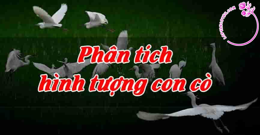 Phân tích hình tượng con cò trong bài thơ cùng tên của Chế Lan Viên