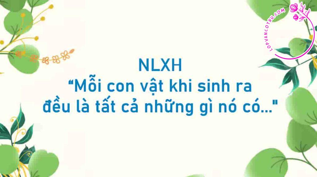 Nghị luận xã hội “Mỗi con vật khi sinh ra đều là tất cả những gì nó có. Chỉ có con người là ngay từ thuở lọt lònng thì chẳng là gì cả. Nó làm thế nào thì nó sẽ trở thành như thế ấy, và nó phải làm bằng tự do của chính nó.Tôi chỉ có thể trở thành kẻ do chính tôi làm ra”