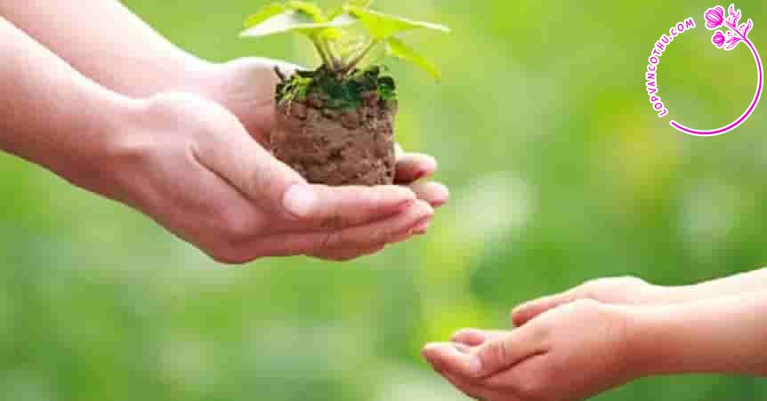 NLXH 200 chữ “Sống không chỉ là nhận mà còn phải biết cho đi”