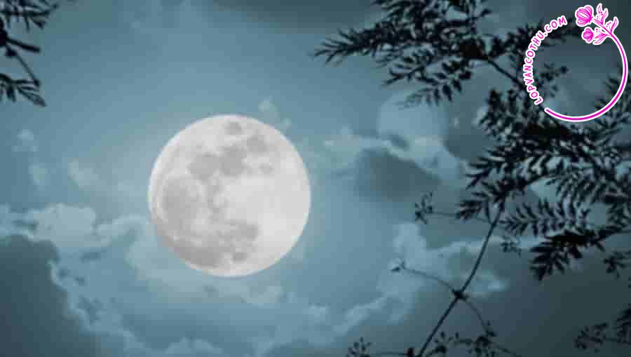 Phân tích bài thơ Ánh trăng của Nguyễn Duy - Dàn ý chi tiết