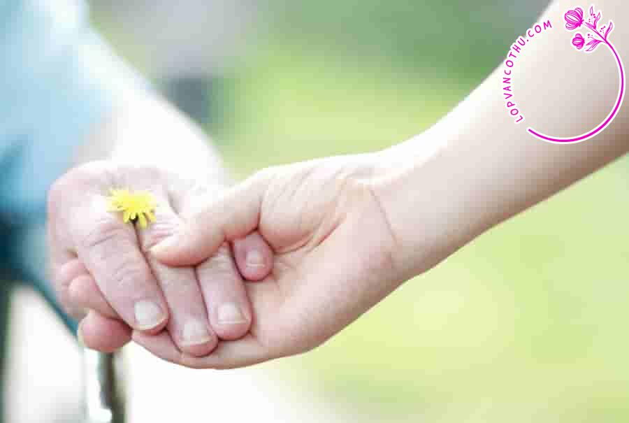 NLXH 200 chữ bàn về "Cho yêu thương, nhận hạnh phúc"