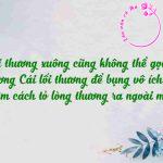 [NLXH] - Bàn về ý kiến "Chỉ thương suông cũng không thể gọi là thương. Cái lối thương để bụng vô ích lắm..."