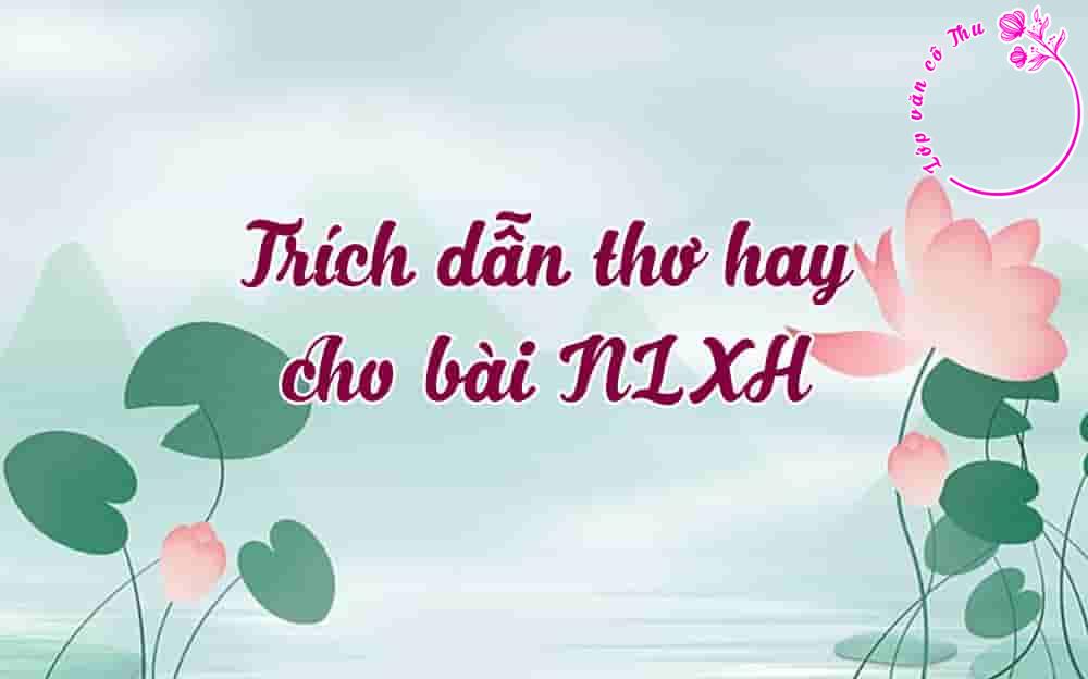 Trích dẫn thơ hay cho bài nghị luận xã hội