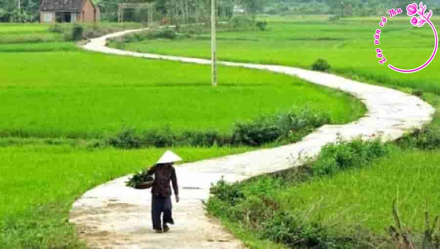 Phân tích bài thơ Thời nắng xanh của Trương Nam Hương