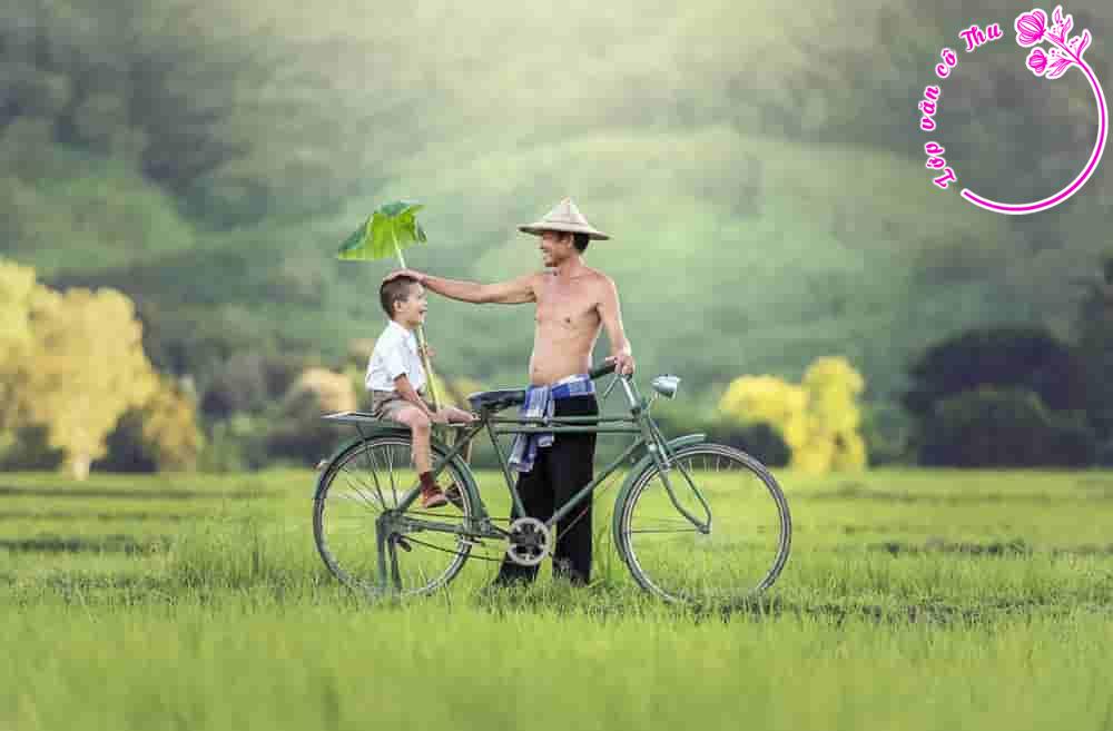 Dàn bài chi tiết Phân tích truyện ngắn Bố tôi của Nguyễn Ngọc Thuần