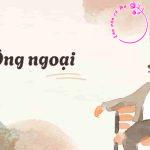 Phân tích truyện ngắn "Ông ngoại" của Nguyễn Ngọc Tư