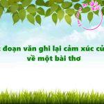 Hướng dẫn viết đoạn văn ghi lại cảm xúc về một bài thơ