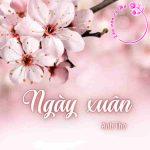 Phân tích bài thơ "Ngày xuân" của nữ sĩ Anh Thơ