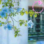 Phân tích bài thơ “Ngưỡng cửa” của nhà thơ Vũ Quần Phương