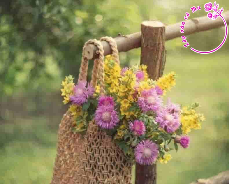 Suy nghĩ của em về vấn đề: Cách ứng xử của thế hệ trẻ trước lời khuyên của thế hệ đi trước.