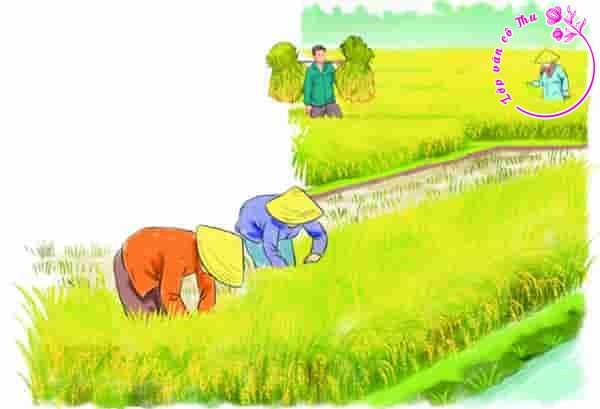 Đoạn văn 200 chữ cảm nhận về bài thơ Hạt thóc của Ngô Hoài Chung
