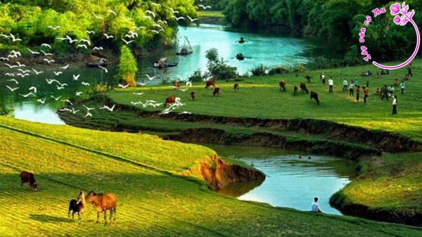Phân tích đoạn thơ: "Quê hương mỗi người đều có ... Sẽ không lớn nổi thành người"