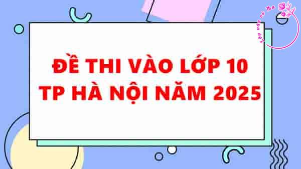 Đề thi vào lớp 10 Hà Nội năm 2025 (Có đáp án chính thức)
