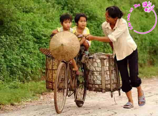Phân tích đoạn thơ "Trên đời chẳng ai lo cho ta bằng mẹ ..." - Lưu Quang Vũ