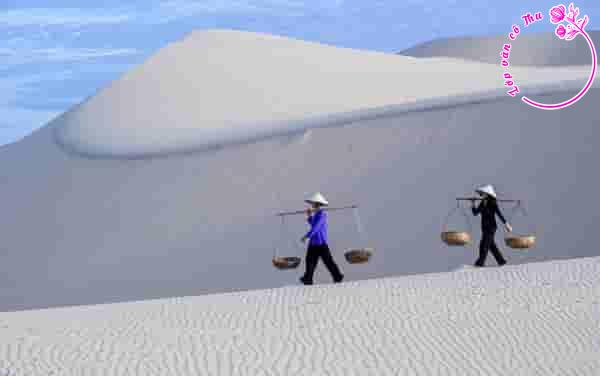 Phân tích hình ảnh miền trung trong hai khổ cuối bài thơ "Miền trung" - Nguyễn Tiến Thành