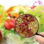 [NLXH 600 ch] Chủ đề: Thực phẩm bẩn