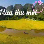 Phân tích nội dung và nghệ thuật khổ thơ bài "Mùa thu mới" của Tố Hữu