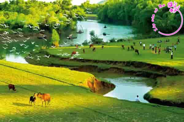 Suy nghĩ của em về những việc bản thân cần làm để thể hiện tình yêu đối với quê hương