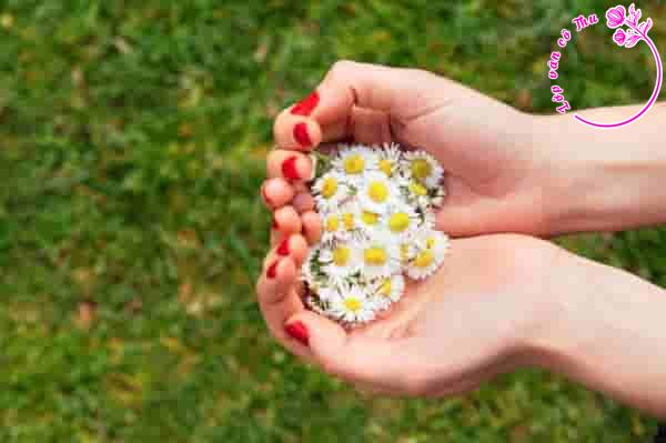 Trình bày suy nghĩ về việc hình thành lối sống biết trân trọng những điều bình dị trong cuộc sống ở giới trẻ ngày nay