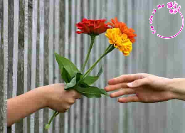 Phải chăng sự tử tế không phải là bản năng, mà là sự lựa chọn của mỗi người?