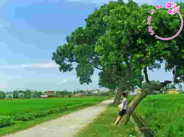 Đi xa để tìm cơ hội hay ở lại quê nhà để cống hiến?