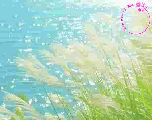 Phân tích hình tượng "gió" trong "Gió và tình yêu thổi trên đất nước tôi" của Lưu Quang Vũ