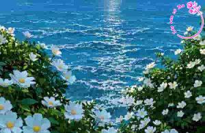 Phân tích nhân vật "tôi" trong đoạn trích "Hoa suối" của Trần Nguyên Anh