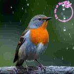 Phân tích những nét đặc sắc về nội dung và nghệ thuật của đoạn trích Tiếng chim kêu (Thạch Lam)