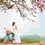 So sánh cảm xúc của nhân vật trữ tình trong hai đoạn thơ “Khúc hồi tưởng tháng ba” của Nguyễn Văn Chương và “Tháng ba” của Nguyễn Phan Hách