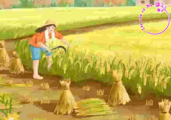 Đánh giá nội dung và nghệ thuật của truyện ngắn "Nhớ thương mùa gặt" của tác giả Đan Hà