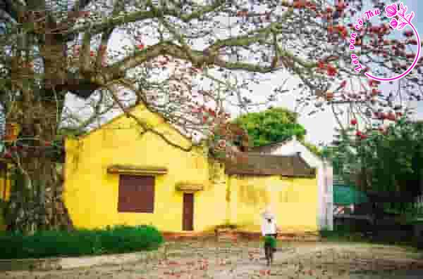 Phân tích vẻ đẹp của mùa thu qua cảm nhận của nhân vật trữ tình “anh” trong bài thơ "Cảm xúc mùa thu" (Lò Cao Nhum)