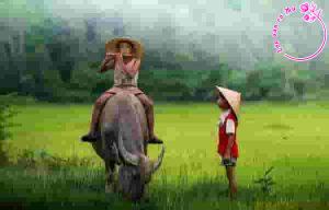 Phân tích bài thơ “Quê mình” của Nguyễn Thế Kỷ