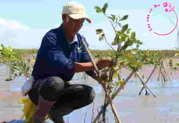 Phân tích bức tranh cuộc sống trong đoạn thơ "Màu xanh trở về" (Phùng Thị Hương Ly)