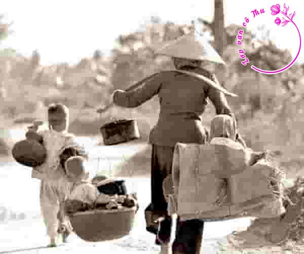 Phân tích hai khổ thơ đầu bài thơ Chỉ có thể là mẹ của Đặng Minh Mai